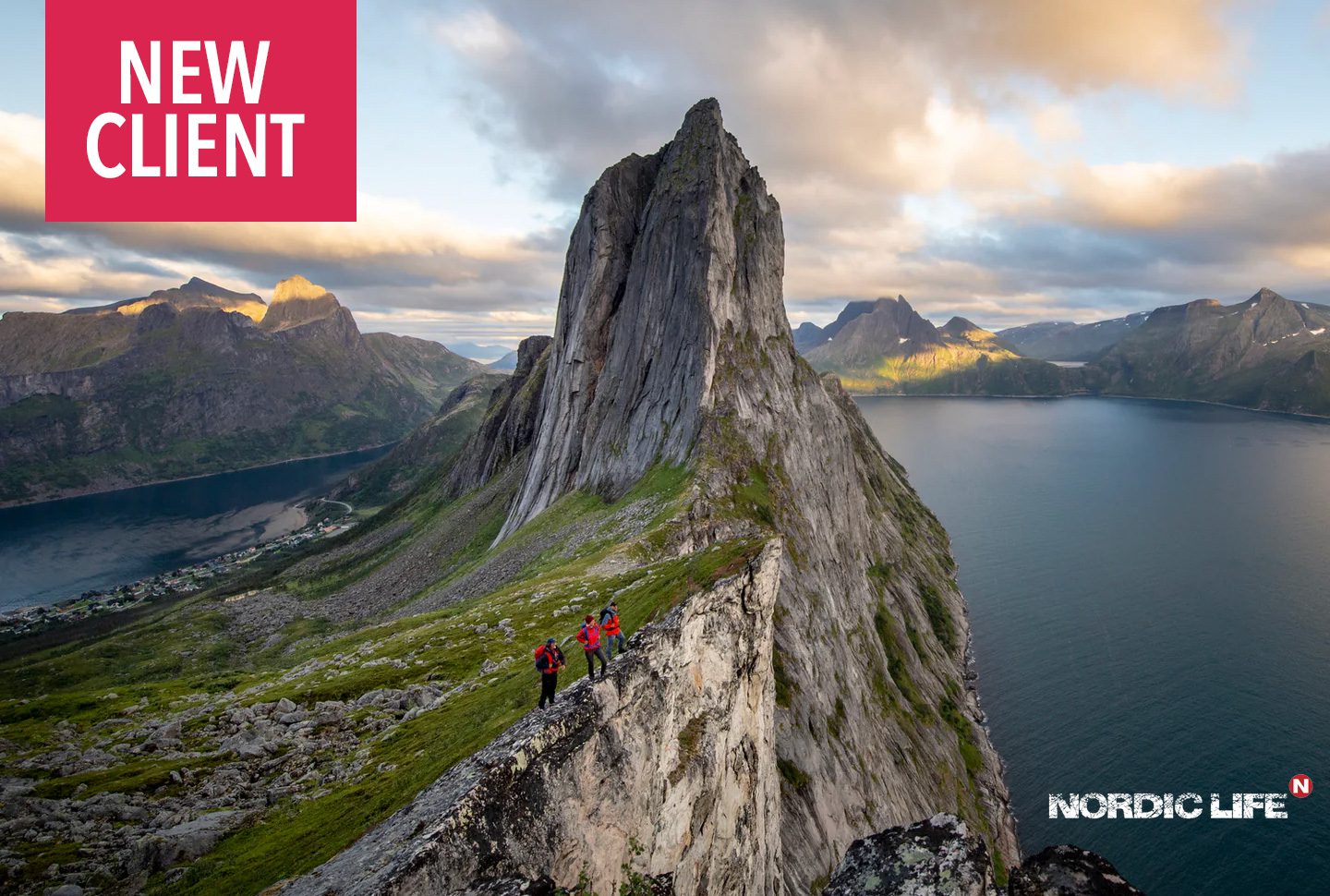 Nordic Life, Commerical Review